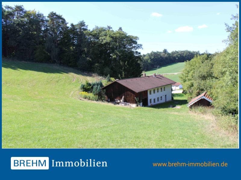 Alleinlage - Landwirtschaftliches-Einfamilienhaus mit Waldbestand *VERKAUFT*